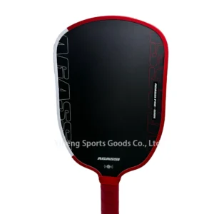 Agassi Pro Shape TFP Foam 14mm 16mm Thickness GEN4 Core Thermoformed Toray T700 Carbon Fiber Pickleball Paddle